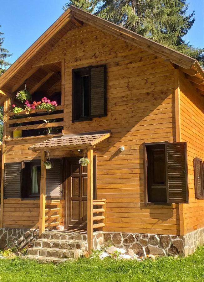 Lotus Chalet Borzont Exterior foto